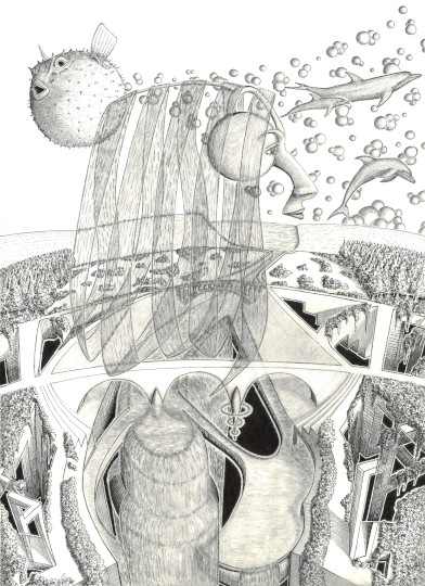 Lucie in the Sky with Dolphins